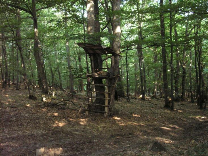 Гута з panoramio.com - Гута