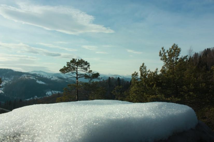 Хорови з panoramio.com - Хорови