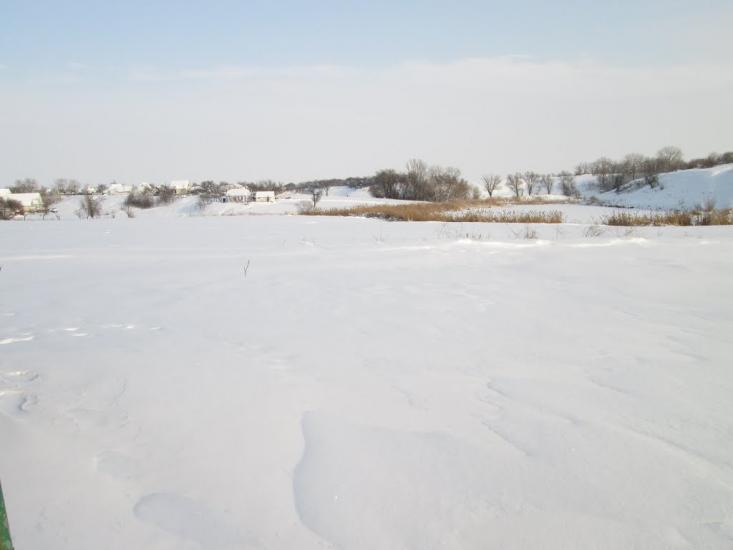 Лосятин з panoramio.com - Лосятин