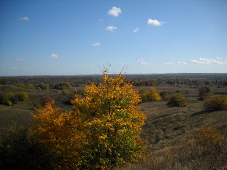 Христанівка з panoramio.com - Христанівка