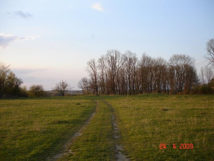 Коржівка з panoramio.com - Коржовка