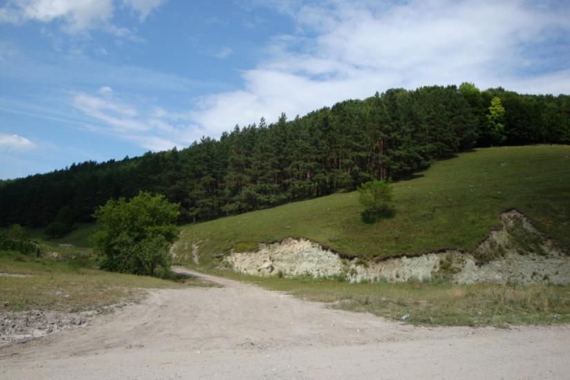 Голозубинці з panoramio.com - Голозубинцы