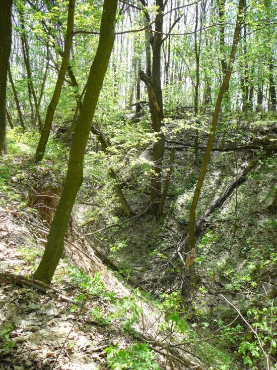 Кам'янка з panoramio.com - Каменка