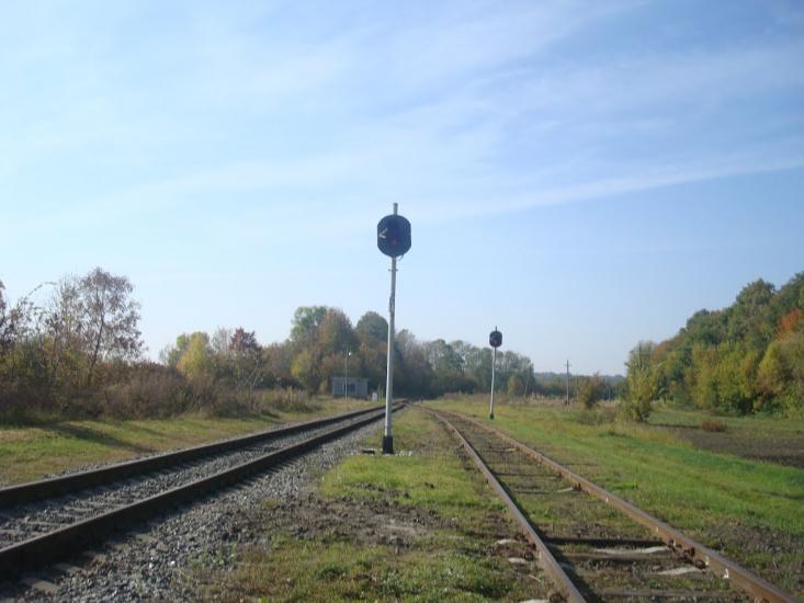 Лісоводи з panoramio.com - Лісоводи