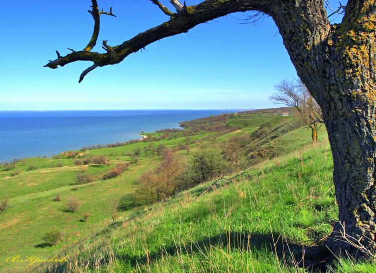 Семенівка з panoramio.com - Семенівка