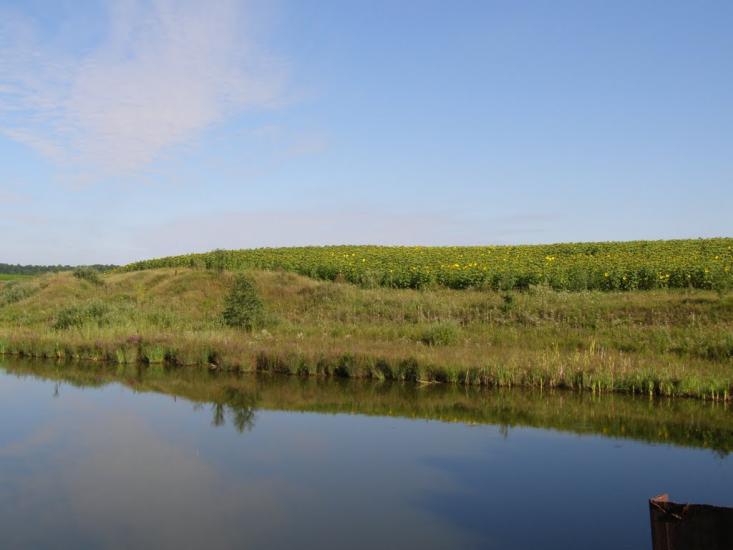 Половинчик з panoramio.com - Половинчик