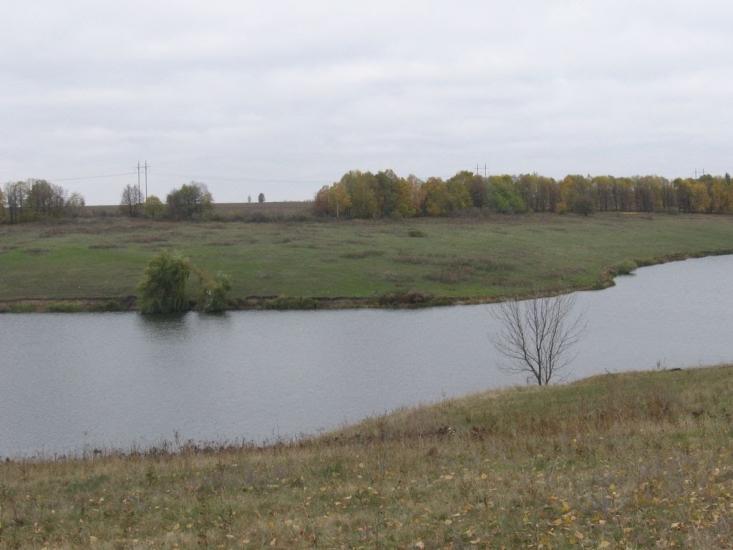 Підліснівка з panoramio.com - Подлесновка