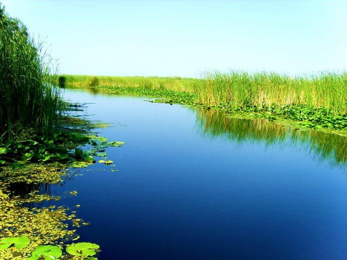 Рені з panoramio.com - Рени