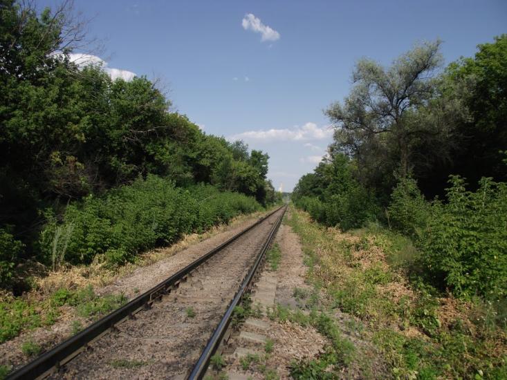 Димитров з panoramio.com - Димитров
