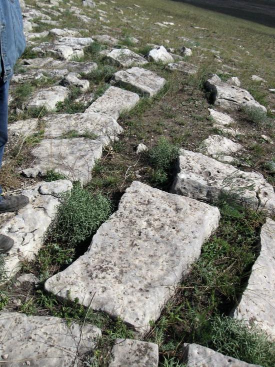 Малокостянтинівка з panoramio.com - Малокостянтинівка