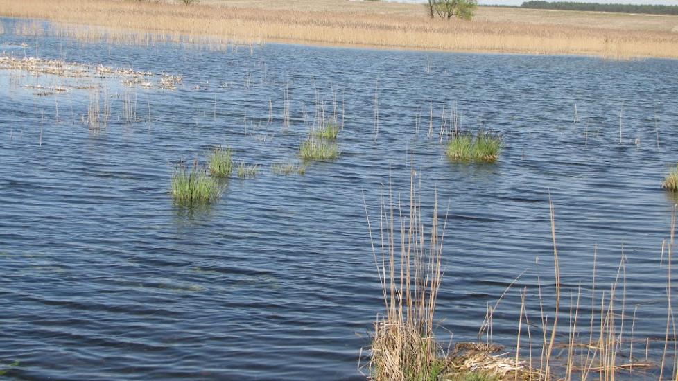 Пустоіванне з panoramio.com - Пустоиванье