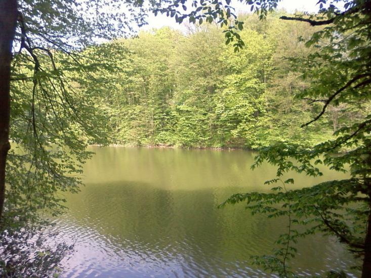 Теплик з panoramio.com - Teplyk