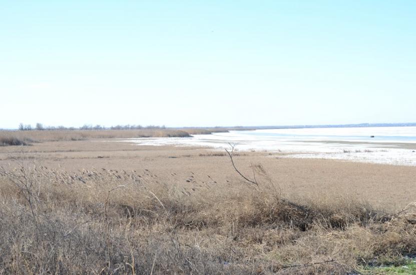 Кислиця з panoramio.com - Кислица