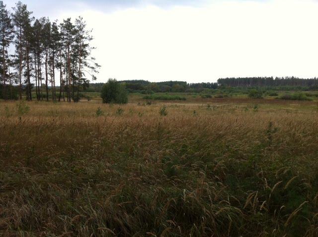 Здвижівка з panoramio.com - Здвижівка