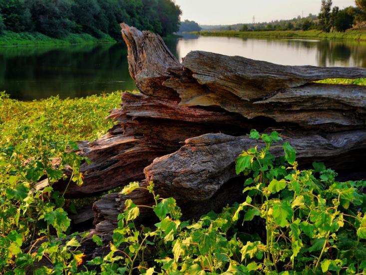 Слов'яносербськ з panoramio.com - Славяносербск