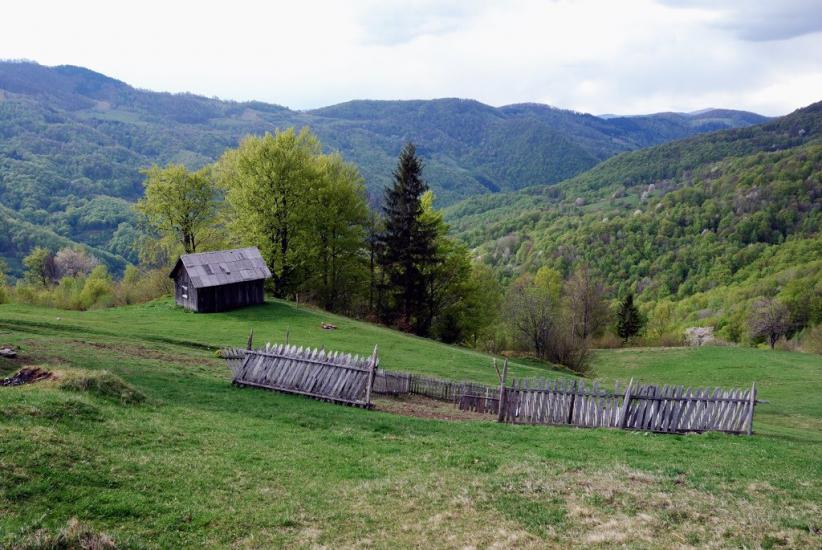 Косівська Поляна з panoramio.com - Косівська Поляна