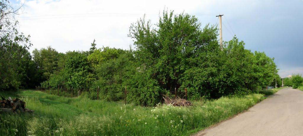 Кірове з panoramio.com - Кірове