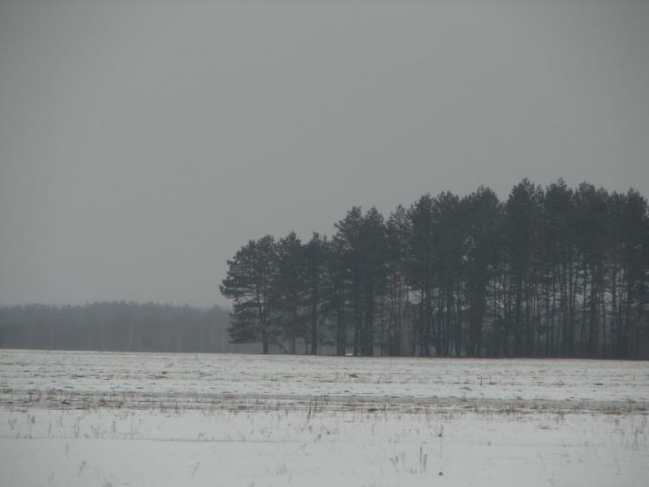 Авдіївка з panoramio.com - Авдіївка