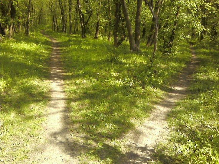 Агрономія з panoramio.com - Агрономія