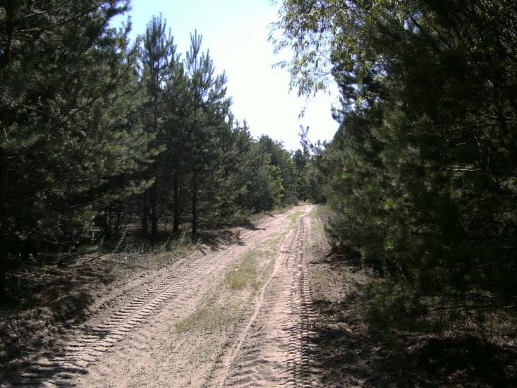 Гончарівське з panoramio.com - Goncharivske