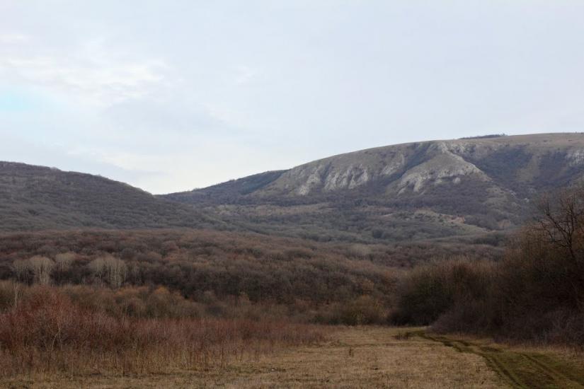 Пчолине з panoramio.com - Pcholyne