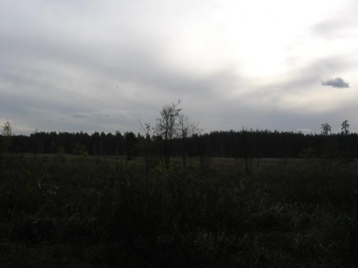 Зазим'я з panoramio.com - Зазим'я