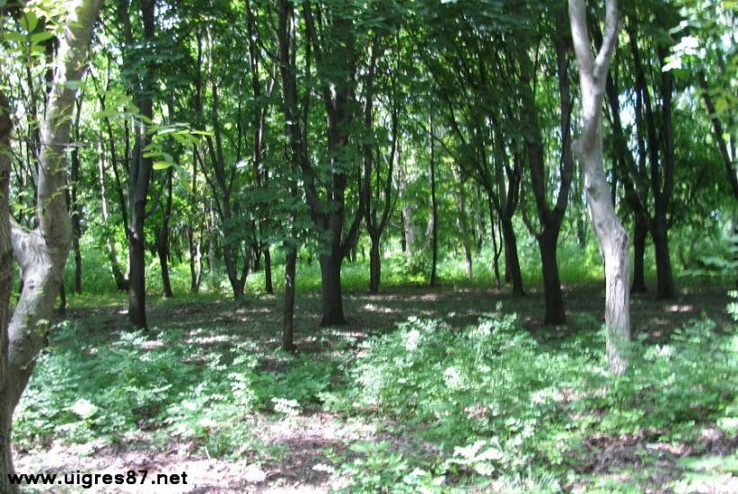 Чистоводне з panoramio.com - Чистоводное