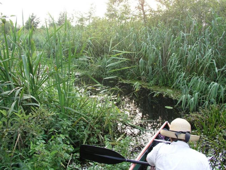 Бучин з panoramio.com - Бучин