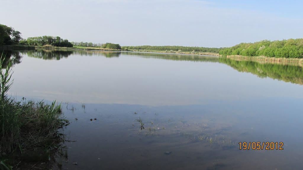Кузнецово-Михайлівка з panoramio.com - Кузнецово-Михайлівка