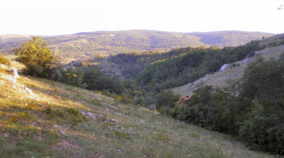 Пчолине з panoramio.com - Pcholyne