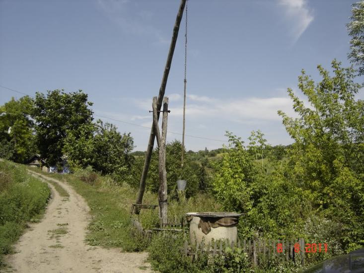 Дібрівка з panoramio.com - Дібрівка