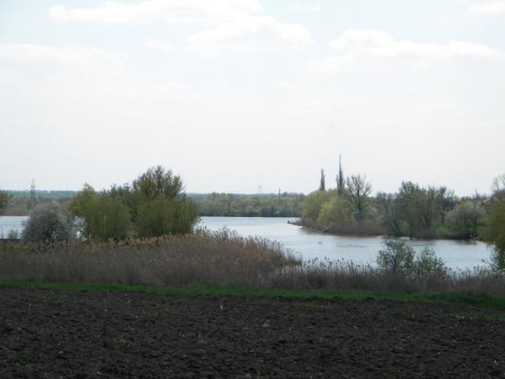 Жовте з panoramio.com - Жовте