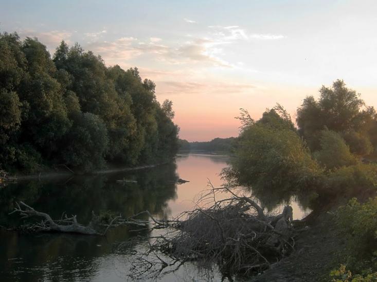 Кислиця з panoramio.com - Кислица