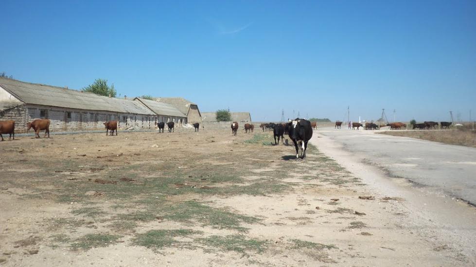 Березівка з panoramio.com - Березівка