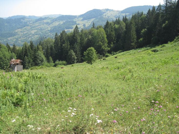 Усть-Путила з panoramio.com - Усть-Путила