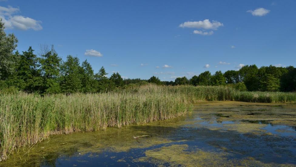 Мала Перещепина з panoramio.com - Малая Перещепина
