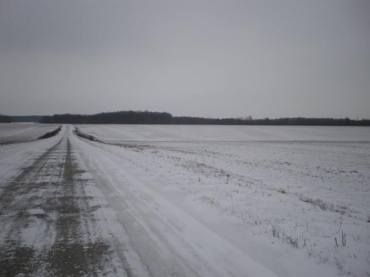 Дзензелівка з panoramio.com - Дзензелівка
