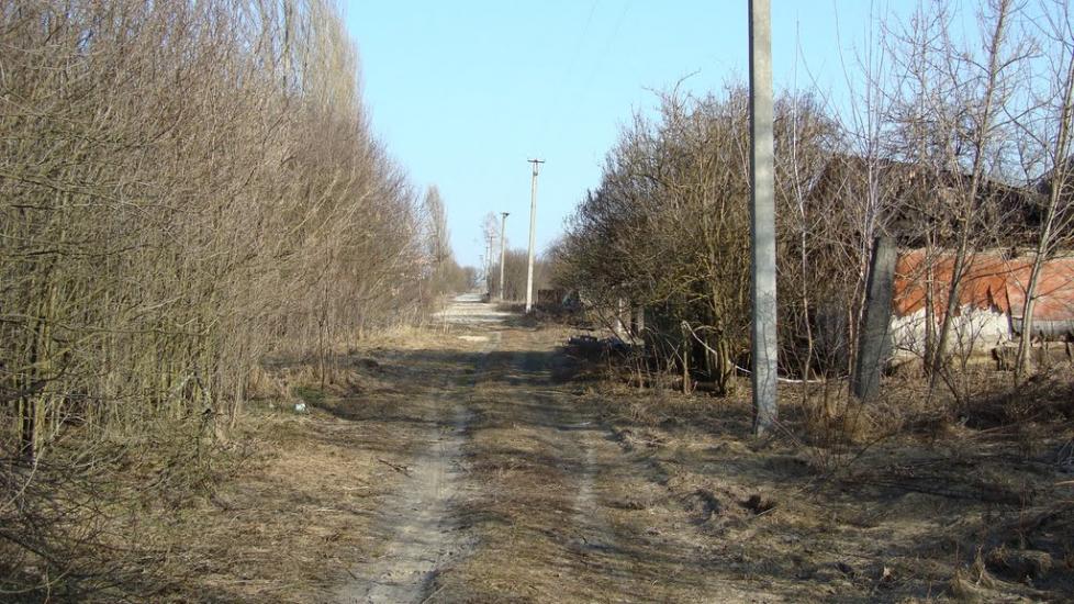 Приворіття з panoramio.com - Приворіття