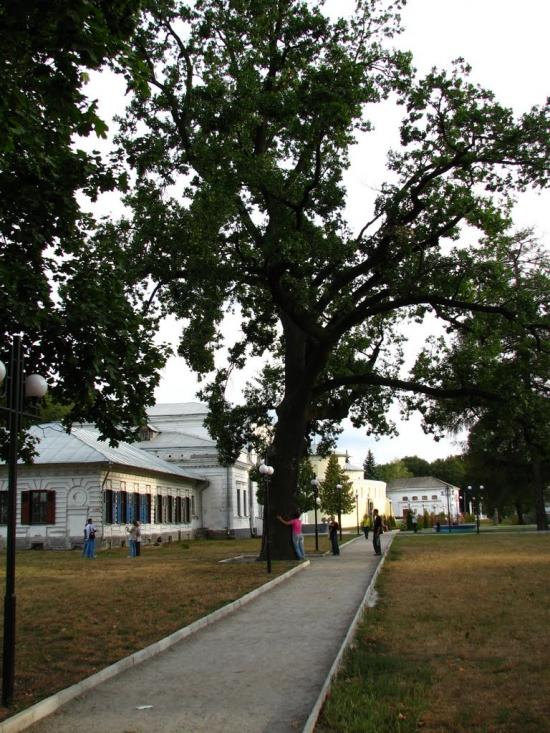 Тростянець з panoramio.com - Тростянец