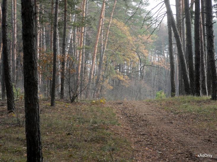 Есхар з panoramio.com - Эсхар