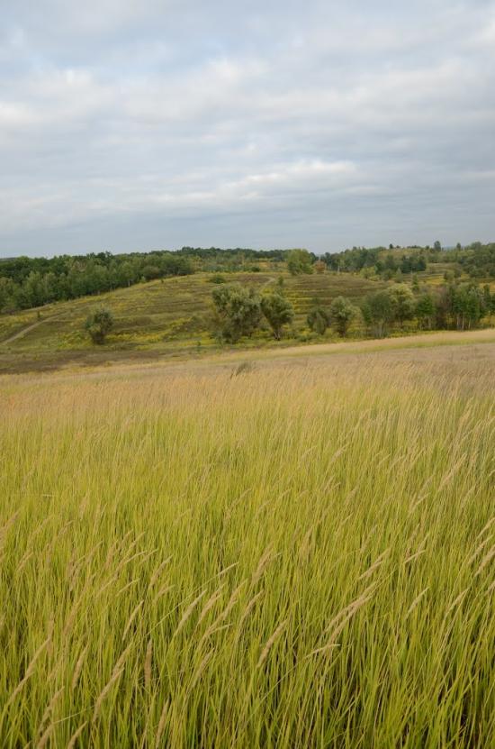Лісники з panoramio.com - Лесники