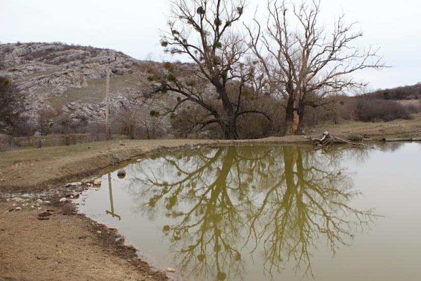 Пчолине з panoramio.com - Pcholyne