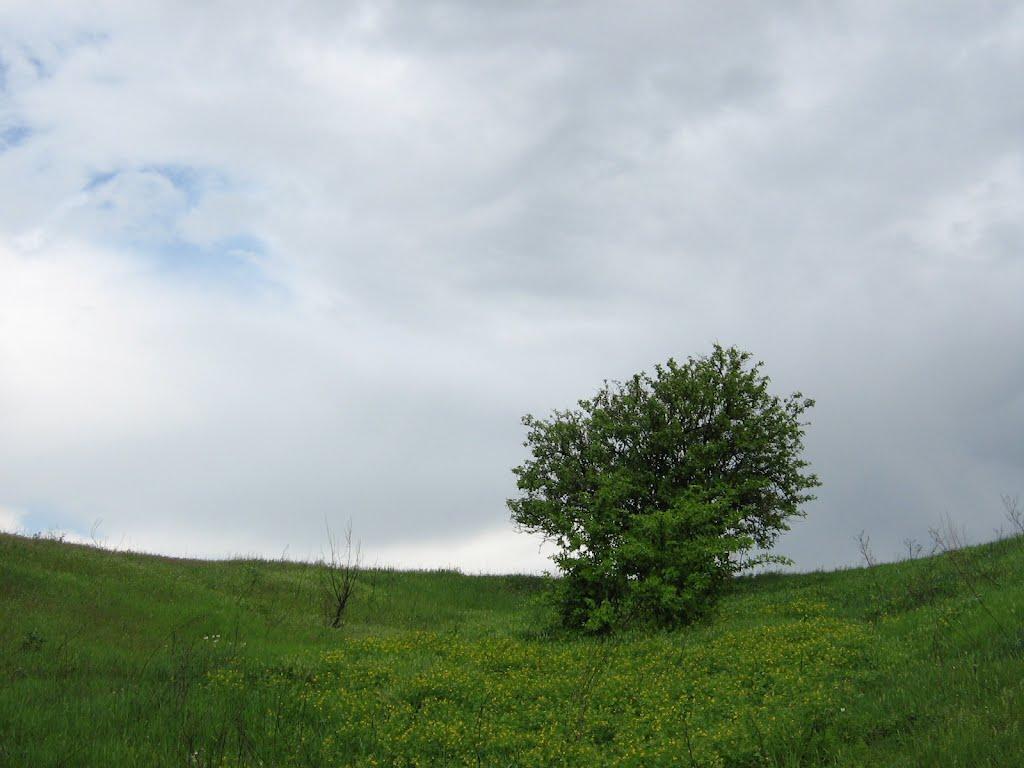 Келебердівка з panoramio.com - Келебердовка