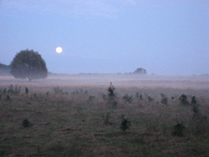 Охтирка з panoramio.com - Ахтырка