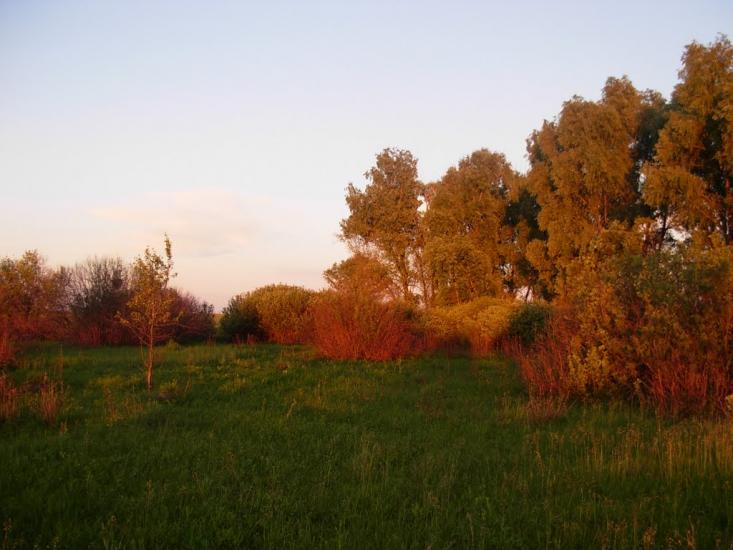 Вітрівка з panoramio.com - Вітрівка