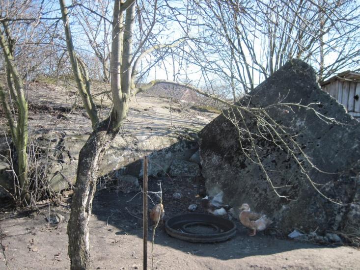 Тинне з panoramio.com - Тынное