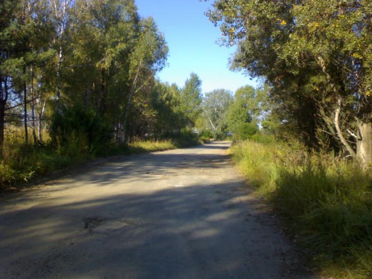 Старі Петрівці з panoramio.com - Stari Petrivtsi