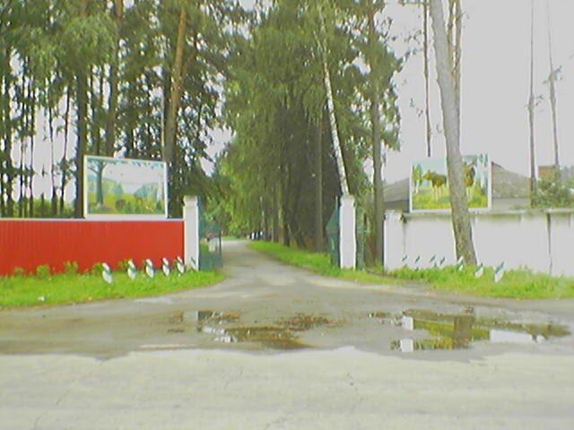 Гончарівське з panoramio.com - Goncharivske