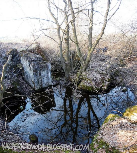 Зелена Гута з panoramio.com - Zelena Guta