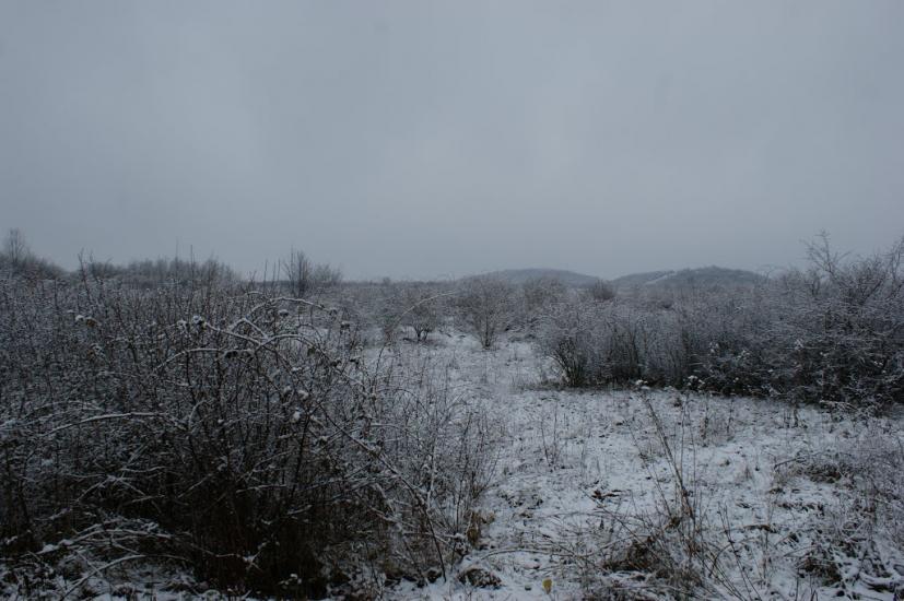 Оклі Гедь з panoramio.com - Окли Гедь